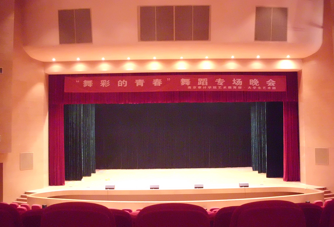 南京審計學(xué)院